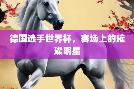 德国选手世界杯，赛场上的璀璨明星