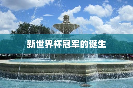 新世界杯冠军的诞生
