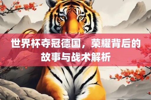 世界杯夺冠德国，荣耀背后的故事与战术解析