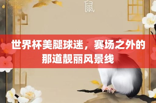 世界杯美腿球迷，赛场之外的那道靓丽风景线