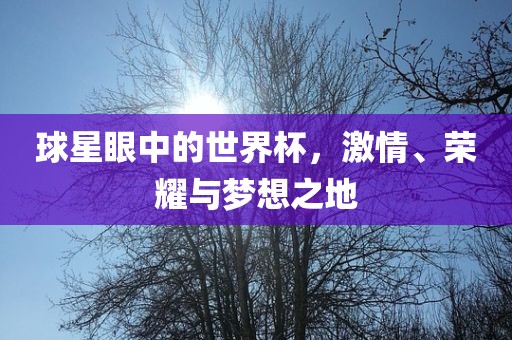 球星眼中的世界杯，激情、荣耀与梦想之地