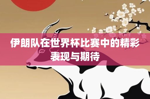 伊朗队在世界杯比赛中的精彩表现与期待