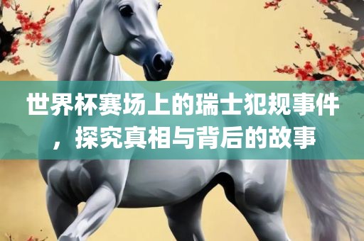 世界杯赛场上的瑞士犯规事件，探究真相与背后的故事