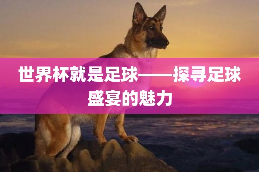 世界杯就是足球——探寻足球盛宴的魅力