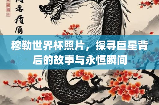 穆勒世界杯照片，探寻巨星背后的故事与永恒瞬间