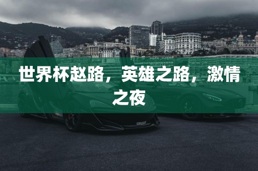 世界杯赵路，英雄之路，激情之夜