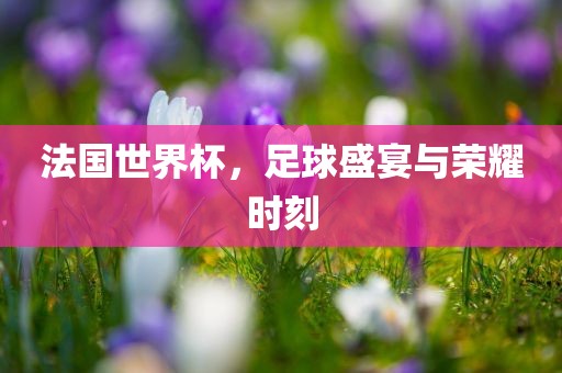 法国世界杯，足球盛宴与荣耀时刻