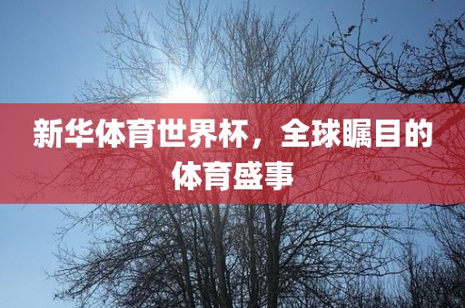 新华体育世界杯，全球瞩目的体育盛事