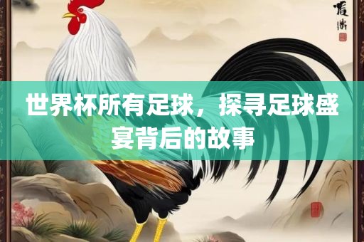世界杯所有足球，探寻足球盛宴背后的故事