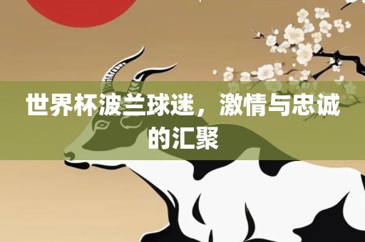 世界杯波兰球迷，激情与忠诚的汇聚