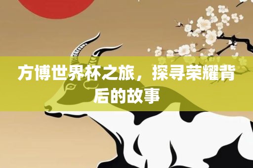 方博世界杯之旅，探寻荣耀背后的故事