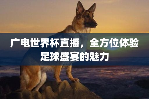 广电世界杯直播，全方位体验足球盛宴的魅力