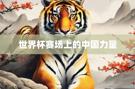 世界杯赛场上的中国力量