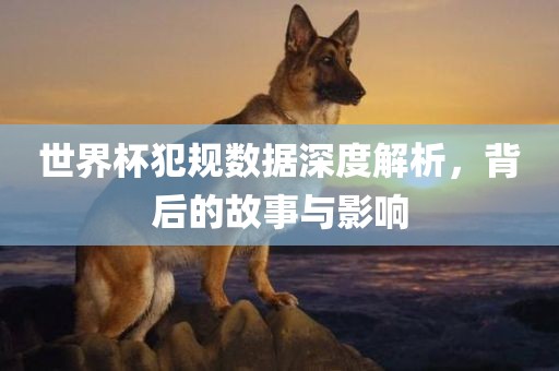 世界杯犯规数据深度解析，背后的故事与影响