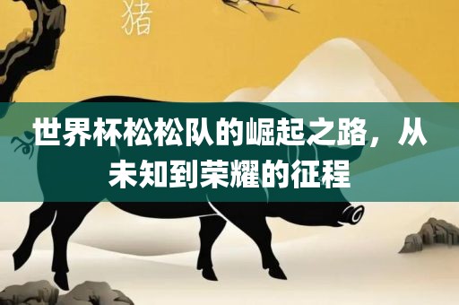 世界杯松松队的崛起之路，从未知到荣耀的征程
