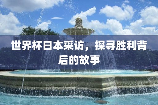 世界杯日本采访，探寻胜利背后的故事