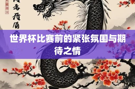 世界杯比赛前的紧张氛围与期待之情