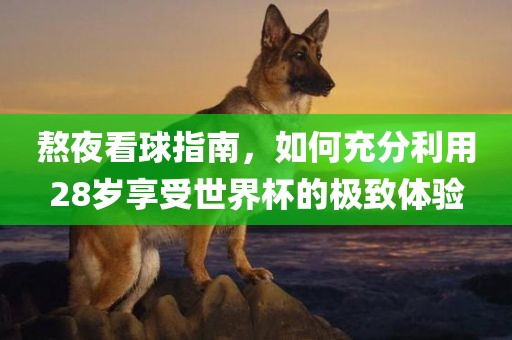 熬夜看球指南，如何充分利用28岁享受世界杯的极致体验