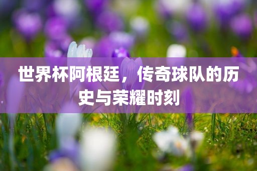 世界杯阿根廷，传奇球队的历史与荣耀时刻