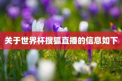 关于世界杯搜狐直播的信息如下