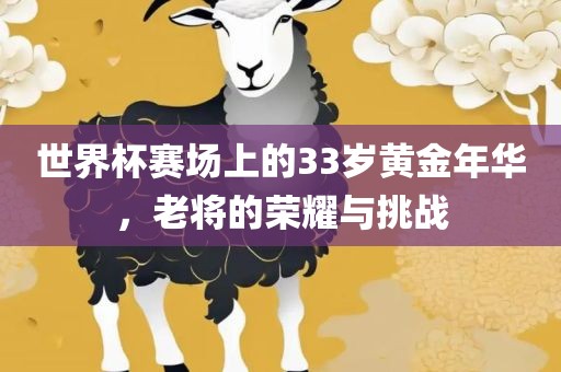 世界杯赛场上的33岁黄金年华，老将的荣耀与挑战