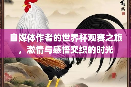 自媒体作者的世界杯观赛之旅，激情与感悟交织的时光