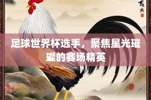 足球世界杯选手，聚焦星光璀璨的赛场精英