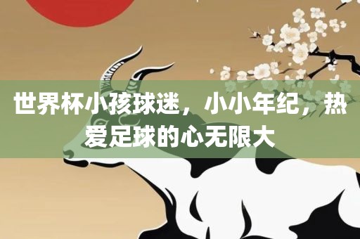 世界杯小孩球迷，小小年纪，热爱足球的心无限大
