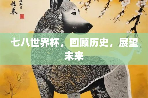 七八世界杯，回顾历史，展望未来