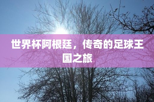 世界杯阿根廷，传奇的足球王国之旅