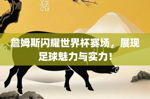 詹姆斯闪耀世界杯赛场，展现足球魅力与实力！