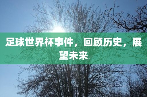 足球世界杯事件，回顾历史，展望未来