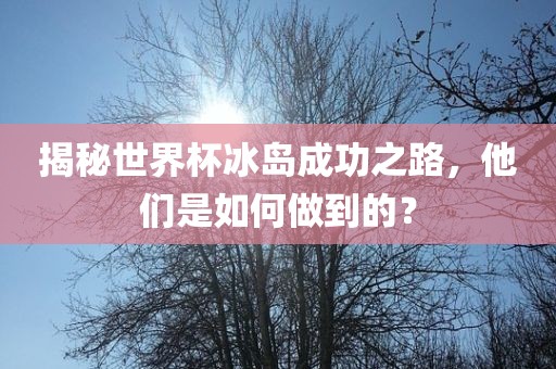 揭秘世界杯冰岛成功之路，他们是如何做到的？