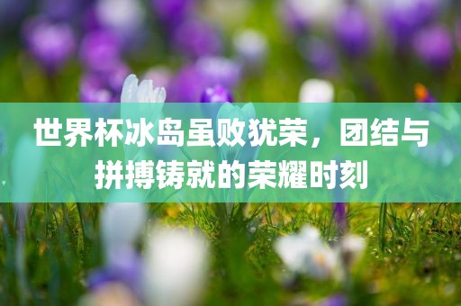 世界杯冰岛虽败犹荣，团结与拼搏铸就的荣耀时刻