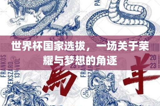 世界杯国家选拔，一场关于荣耀与梦想的角逐