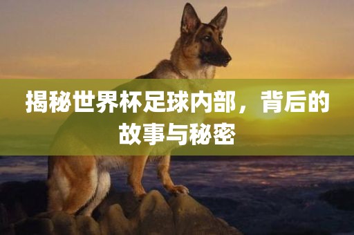 揭秘世界杯足球内部，背后的故事与秘密