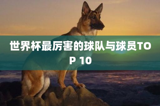 世界杯最厉害的球队与球员TOP 10