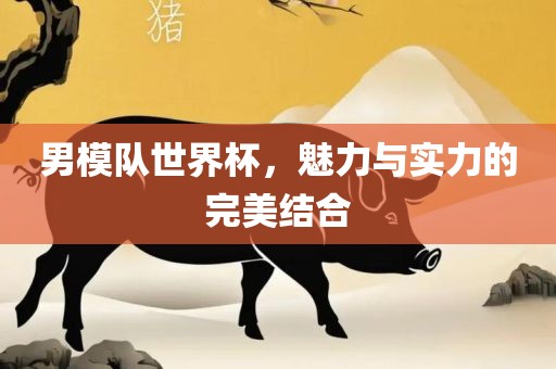 男模队世界杯，魅力与实力的完美结合