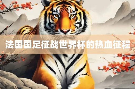 法国国足征战世界杯的热血征程
