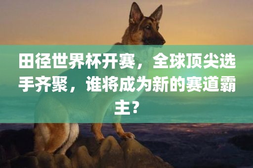 田径世界杯开赛，全球顶尖选手齐聚，谁将成为新的赛道霸主？