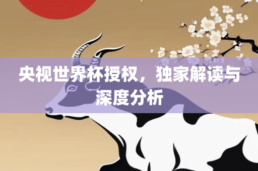 央视世界杯授权，独家解读与深度分析