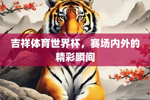 吉祥体育世界杯，赛场内外的精彩瞬间