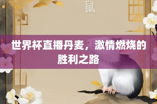 世界杯直播丹麦，激情燃烧的胜利之路