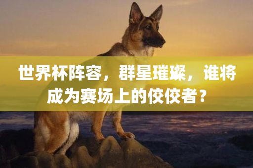 世界杯阵容，群星璀璨，谁将成为赛场上的佼佼者？