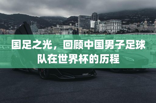 国足之光，回顾中国男子足球队在世界杯的历程