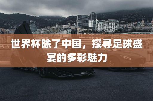 世界杯除了中国，探寻足球盛宴的多彩魅力