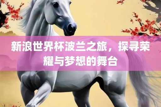 新浪世界杯波兰之旅，探寻荣耀与梦想的舞台