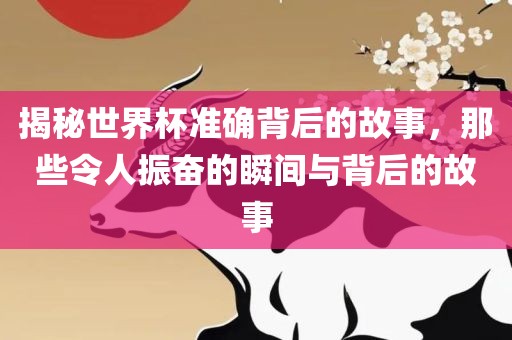 揭秘世界杯准确背后的故事，那些令人振奋的瞬间与背后的故事