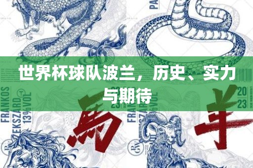 世界杯球队波兰，历史、实力与期待