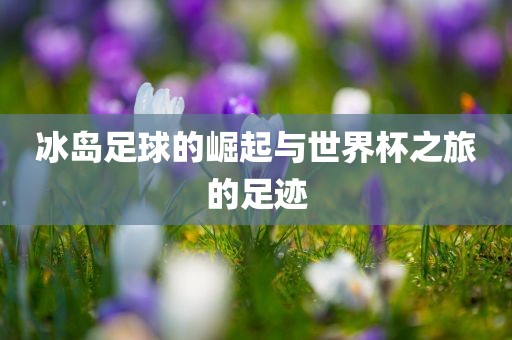 冰岛足球的崛起与世界杯之旅的足迹